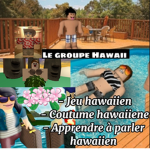 Le groupe Hawaii