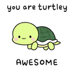 DerpyTurtle fan group