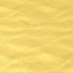 Sand Run