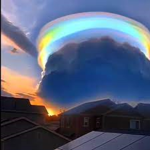 Vic panda rainbow