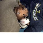 13KBEARZY