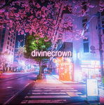 •divinexcrown•