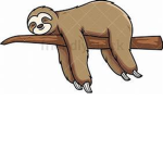 Team Sloth Forever_Sloth