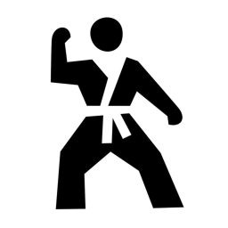 Dojo Kung fu
