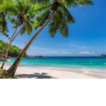 * Hawaii Gonna Vibe.