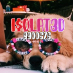 I$OLAT3D