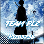 彡 Team Plz