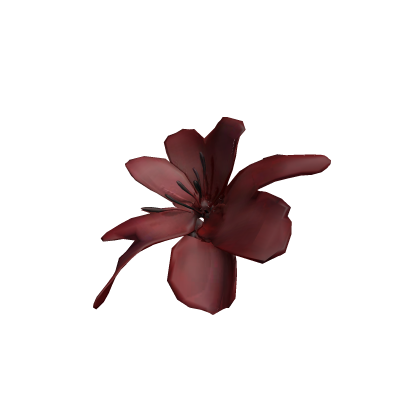red lily 红百合♡