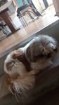 Mxybe.leonie