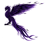 black shadow pheonix