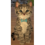 CatKitten Squad