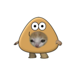 Comunidad fans de Pou