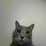 Mopiedra