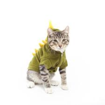 Roxy And Beast Clothing Line