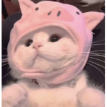 Kawaiigreen