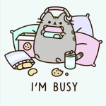 My day is today