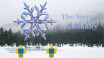 The Snow Community