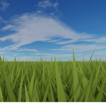 Animation test