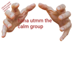 Utmm:the calm group