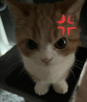 Mysticc!