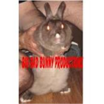 bad bunny boys