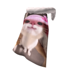 Best Cat Gif OAT Cape