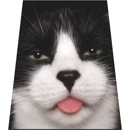 Tuxedo Bleh Cat Cape Roblox item
