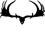 The mooses of the Northern Frontier