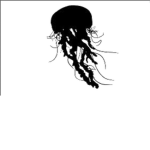 Jellyfish®