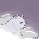 ABA (ANGELBERRIES)