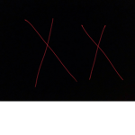 XX CLAN.