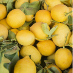 *+ Lemons +*