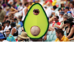The Avocado Squad Boiiiiiii