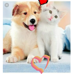 #bff/puppies
