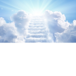 Heavenz clan