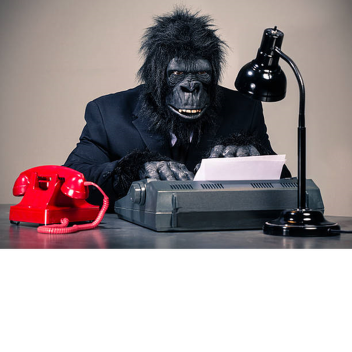 Infinite Monkey Test