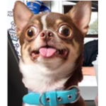GIVE ME TREATS