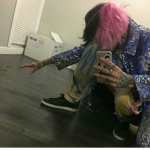 Aesthetic Rats:)