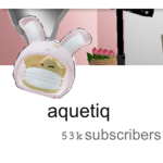 aquetiq's fans and friends
