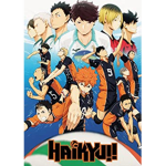 Volleyball Fans ChatGroup