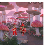 The mushroom Twins squad!