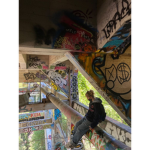 Dinosaurssx