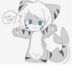 Squid dogs And a tigershark
