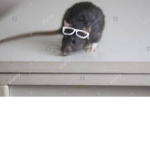 ~~Rat Gang~~