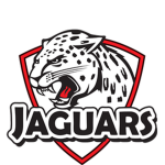 Team jaguar forever