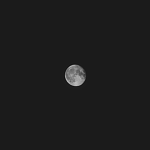 Darksiminity
