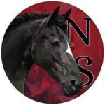 Stormy horses group
