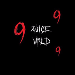 WRŁD