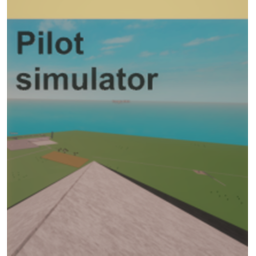 Pilot Simulator