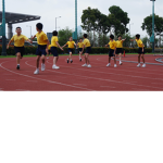 P6 SJPS